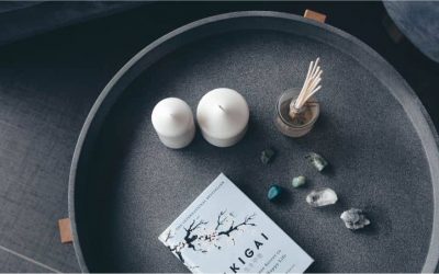 Mengenal Ikigai, Konsep yang Akan Membantumu Mengejar Mimpi – Bagian I